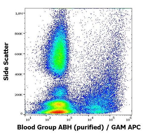 Anti-Blood Group ABH Monoclonal Antibody (Clone: HE-10) purified